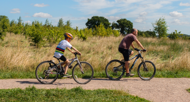 Heartwood Forest Cycling